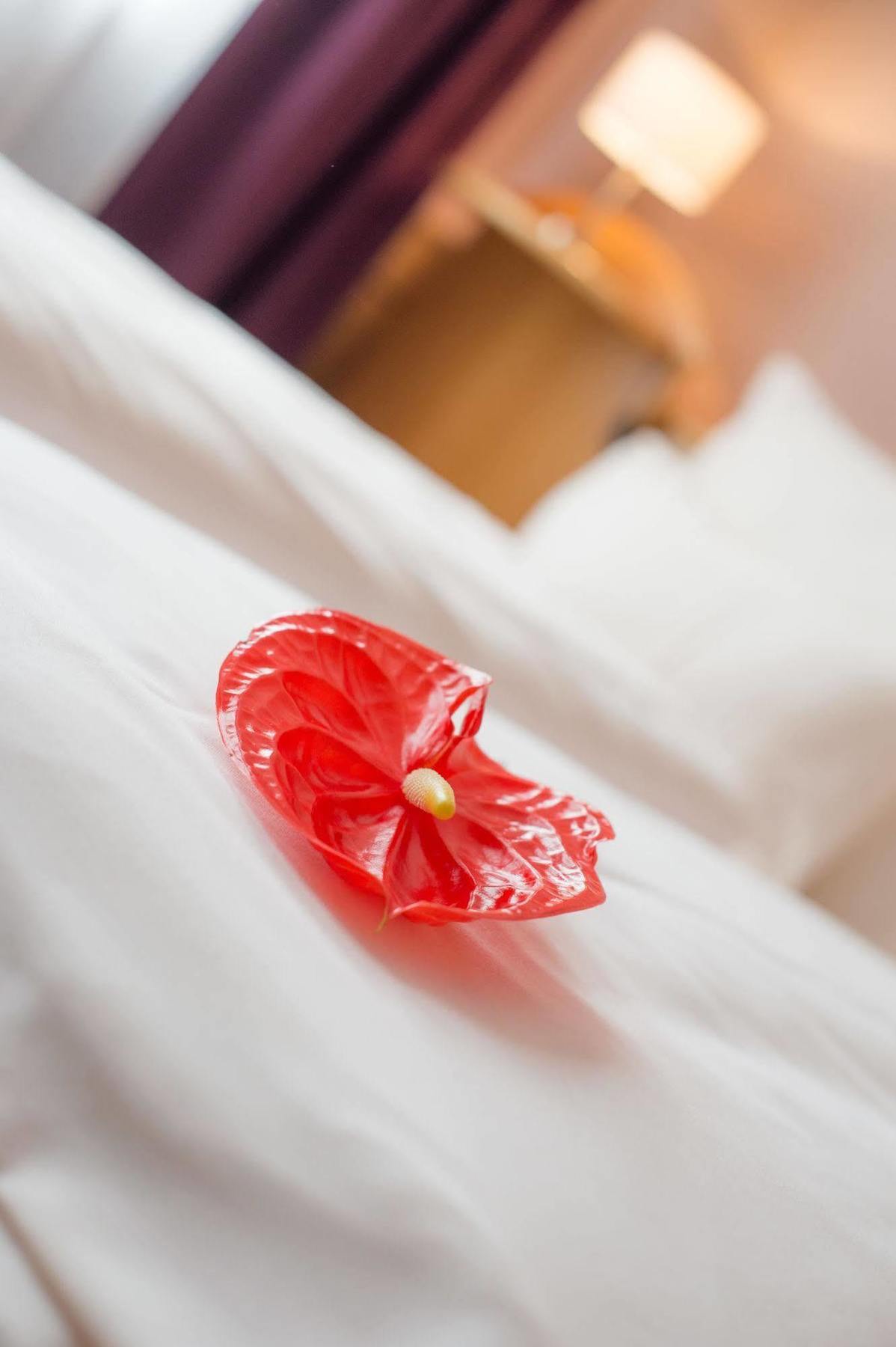 Hotel Raffel Jennersdorf ภายนอก รูปภาพ